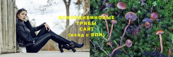 бутик Аркадак